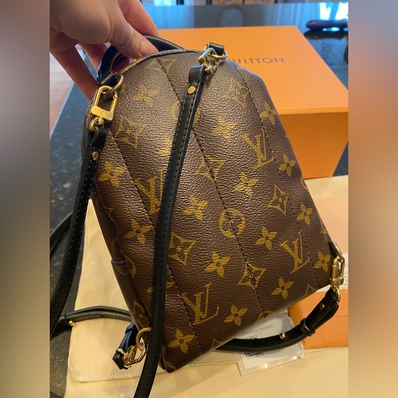 ✨Louis Vuitton Palm Springs Mini Bag/Backpack ✨ - Picture 5 of 10